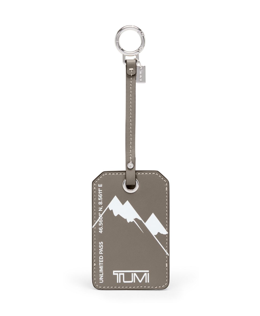 Ski Pass Charm