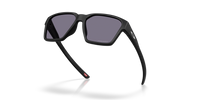 Briza Lenses, Matte Black Frame Sunglasses