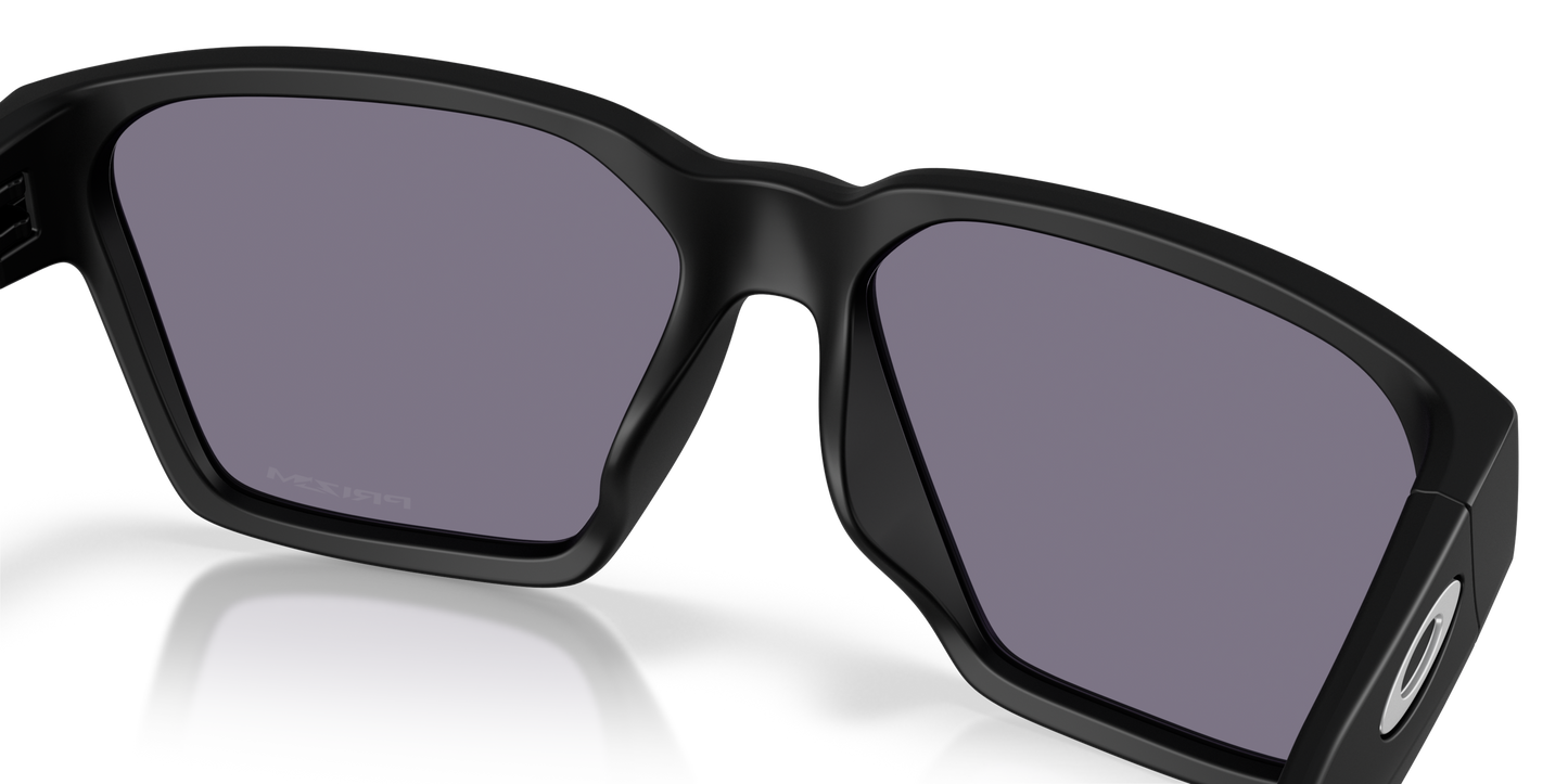 Briza Lenses, Matte Black Frame Sunglasses