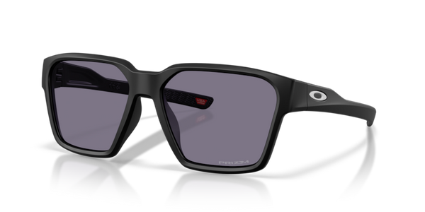 Briza Lenses, Matte Black Frame Sunglasses