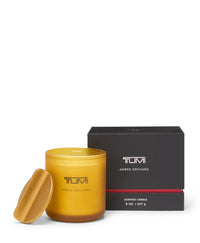 Amber Orchard Classic Candle