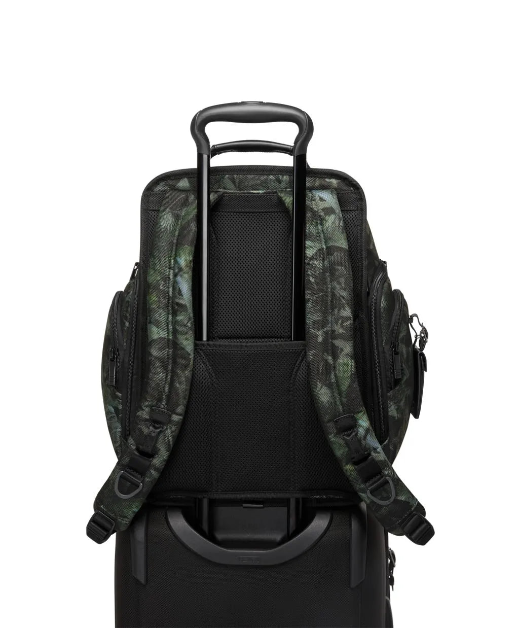 Alpha Brief Pack