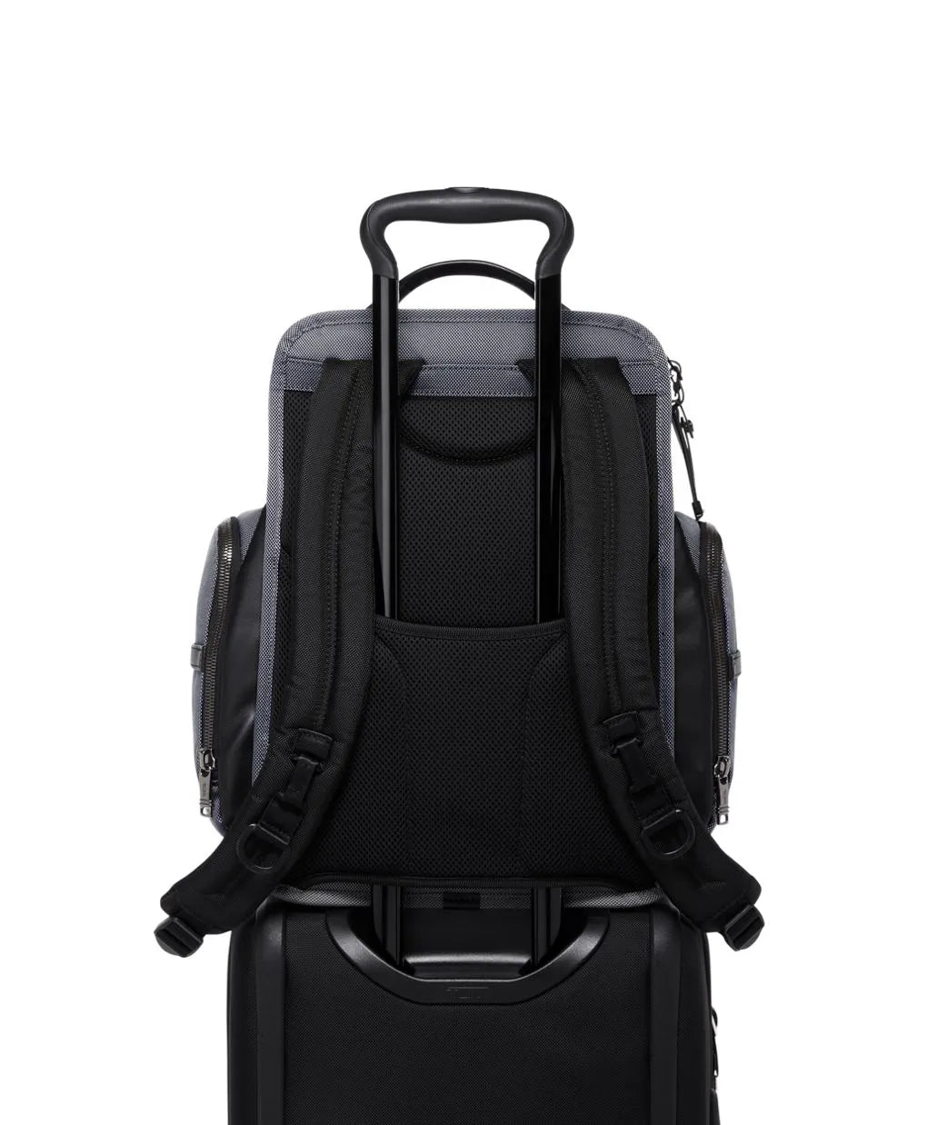 Alpha Brief Pack