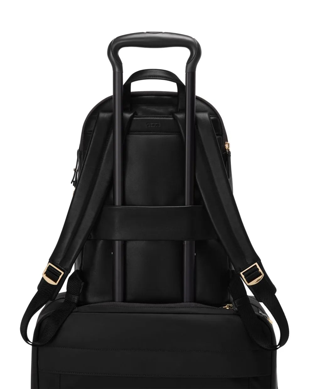 Leather Raina Medium Backpack