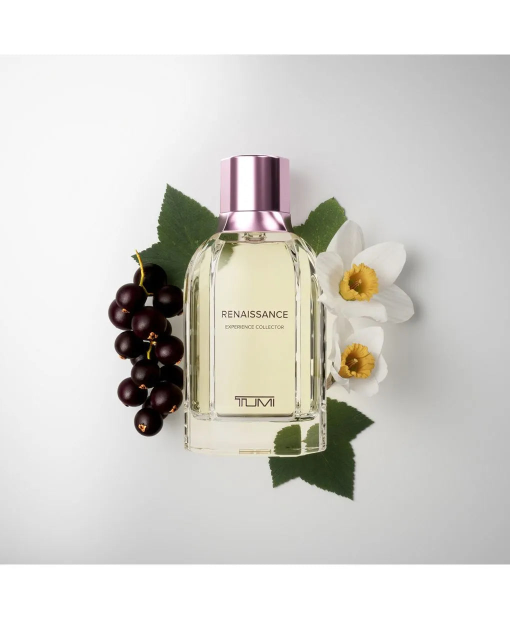 Renaissance Experience Collector Extrait De Parfum 3.4 oz