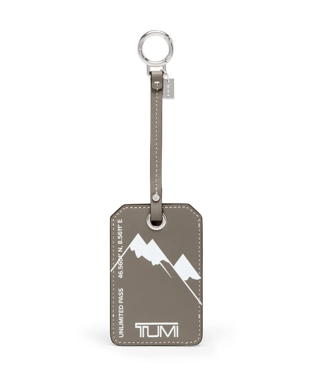 Ski Pass Charm